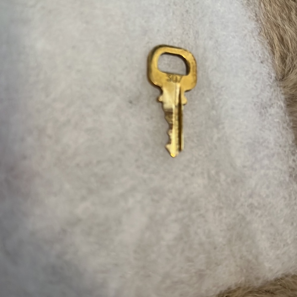Louis Vuitton Authentic Lock & Key 307 comes W/ 2 unbranded chains Price Is Firm - Picture 7 of 9